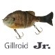 Jr.