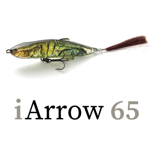 iArrow65 F