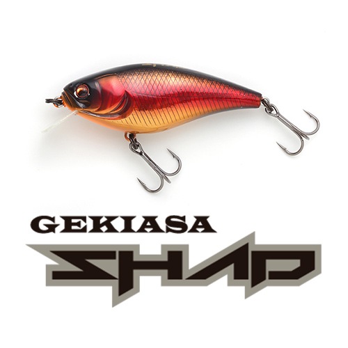 ������������å�