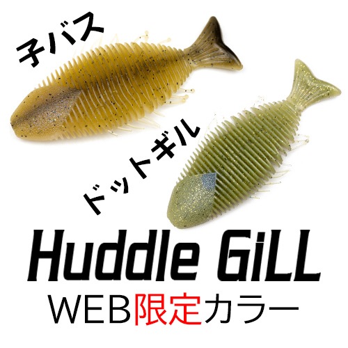 ϥɥ륮 WEBꥫ顼