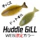 ϥɥ륮 WEBꥫ顼