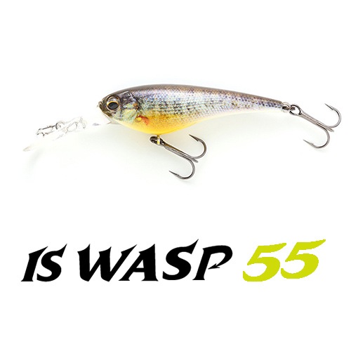 ���ޥ��ĥ���å� IS�凉��55