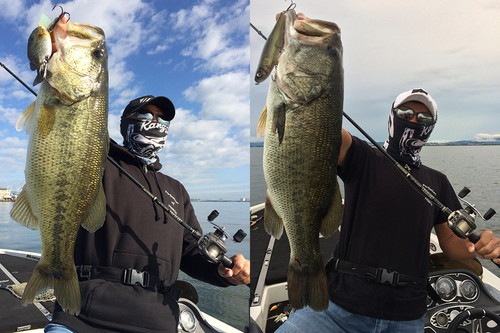 RODEO RIDE REVIVERVENTOLIST.703MH