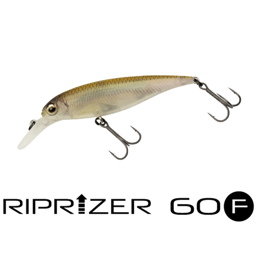 ��åץ饤����60 F