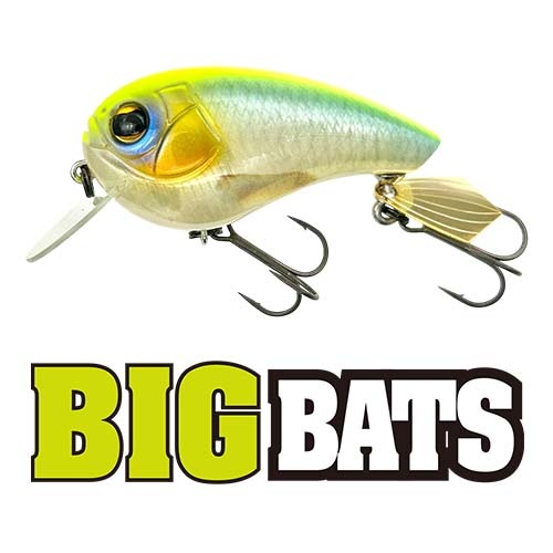 �ӥå��Хå�