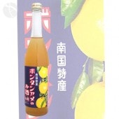 ܥ󥿥󥢥Τ 6 500ml ˷¤