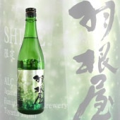  SHINE 㥤 13 720ml Ϥͤ Ƽ¤