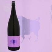 ���� ���Ƽ� ͺĮ70 1800ml �������� ̾���¤Ź