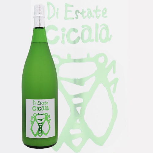 ����μ� �ƽ��Ƥˤ��� Cicala �������� 1800ml �ߤ��Τ��Ȥ֤� �ߤ��μ�