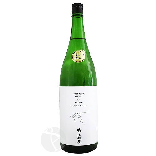 벰 1st class եȥ饹 1800ml ޤ þ