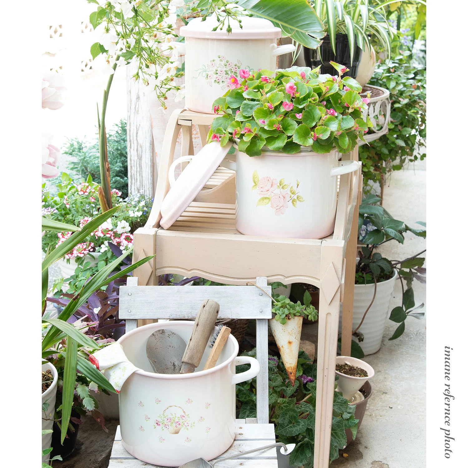 ダイアナローズ ライス缶 | ダイアナローズ | imane online shop