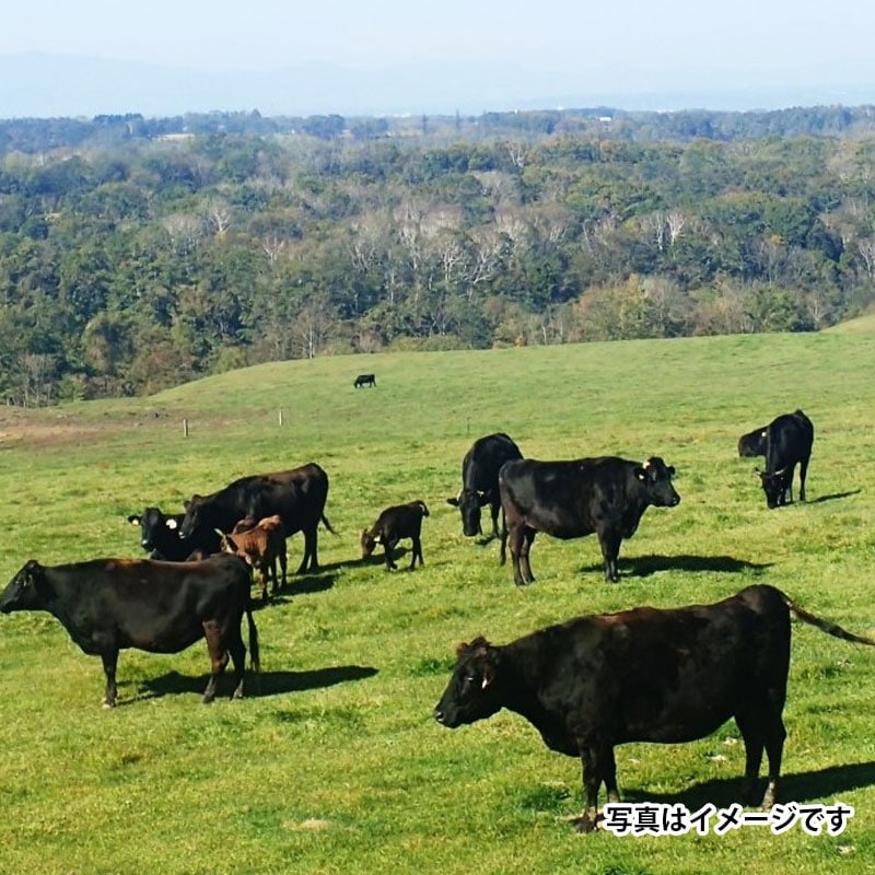 送料無料 冷凍便 滋賀・牛肉商「徳志満」 近江牛ひとくち餃子 2箱160g