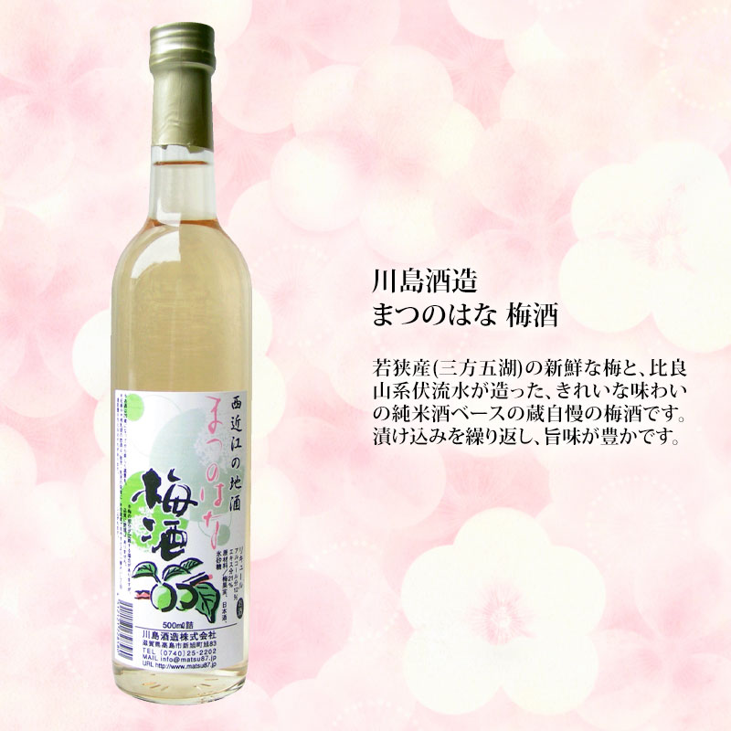ビワノ舞 梅酒 300ml 10度 日本酒仕込み 紀州南高梅梅酒 「和zipang」500ml・アルコール度数10