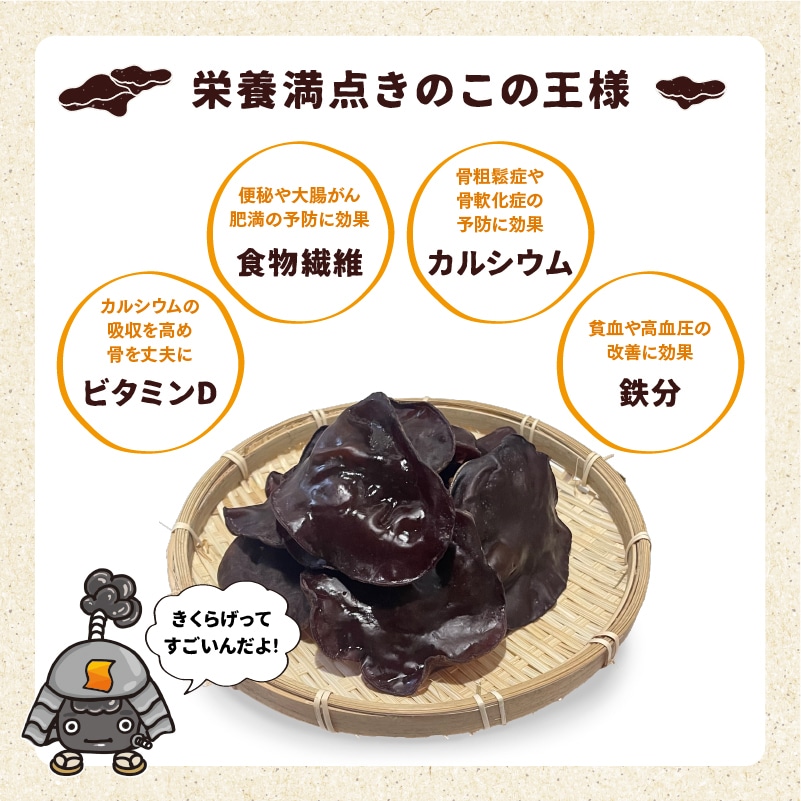 送料無料 スマイディア 近江国 天下きくらげ（150g×1パック