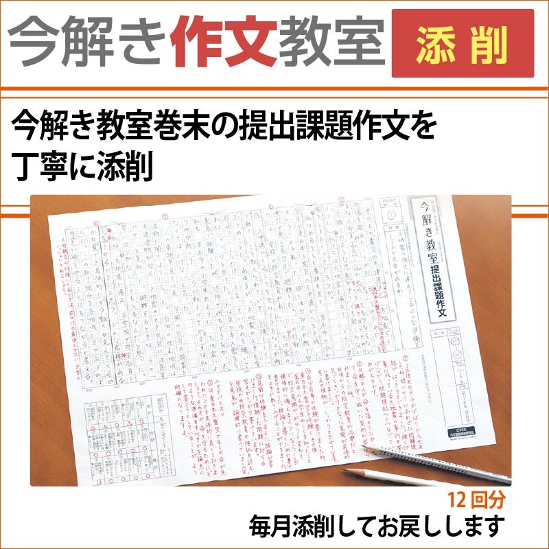 L1�Һ��ҡ��Żҥɥ�롦ź��� 12����ݡ����򤭶���L1����12���������2025ǯ3����2026ǯ2���ˡ��Żҥɥ�롦ź��Ĥ�