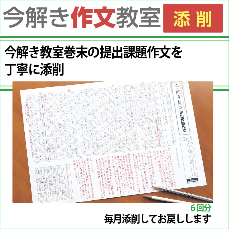 L2ҺҡŻҥɥ롦ź ݡ򤭶L2ȯŸ2025ǯ92026ǯ2ˡŻҥɥ롦źĤ