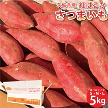 븩 Ĥޤ ȤϤ뤫 S / M / L 5kg
