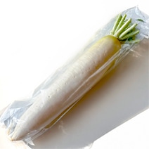 千葉県産　大根 1本