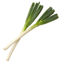 茨城県・千葉県産 長ねぎ 2本