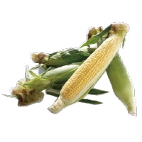 븩ոȤ1
