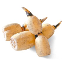 ��븩�����ո�������󥳥��Х��������ѥå�(��400g)