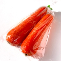 茨城県・千葉県産　人参　2本