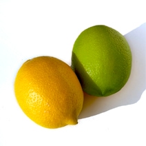 愛媛県産　レモン2～4玉(約300g)