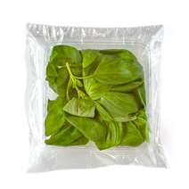 千葉県産　スイートバジル 20g