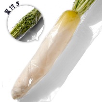 千葉県産　葉付き大根