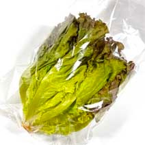 ��븩�������ˡ��쥿��