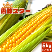 67īΤȤ ̣ 5kg1113ܡ ڥ¢ء