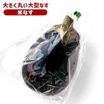 千葉県産 米なす 1個
