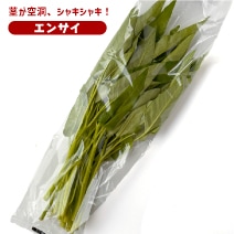 茨城県産　エンサイ