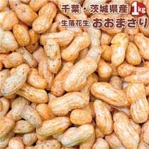 千葉・茨城県産 落花生 おおまさり 1kg