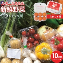 【定期購入】契約農家さんの軒先で集荷した新鮮野菜とたまごセット *10品目+たまご6個付き*