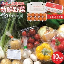 【定期購入】契約農家さんの軒先で集荷した新鮮野菜とたまごセット *10品目+たまご10個付き*