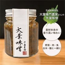 茨城県産 大葉味噌 100g