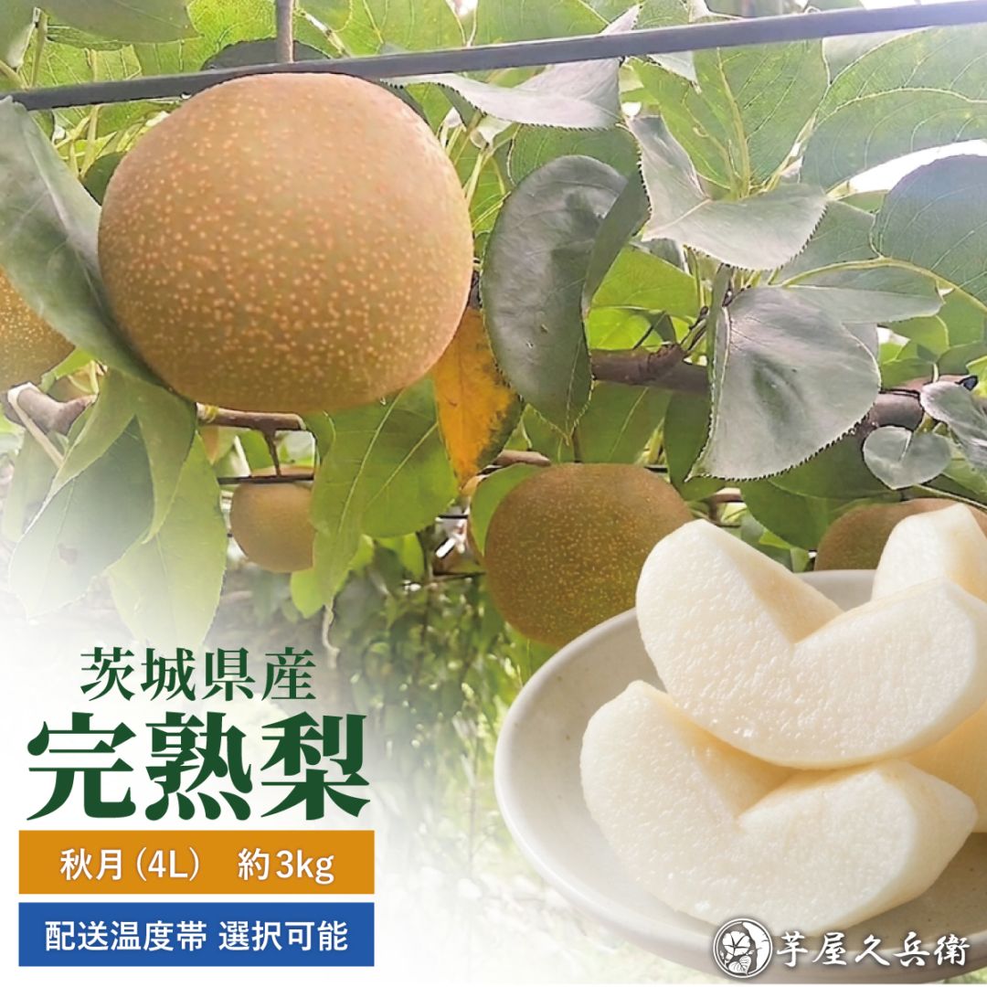 【冷蔵便】茨城県産 梨(豊水 / 秋月) ~約3kg 【 選べるサイズ 2L~4L 】