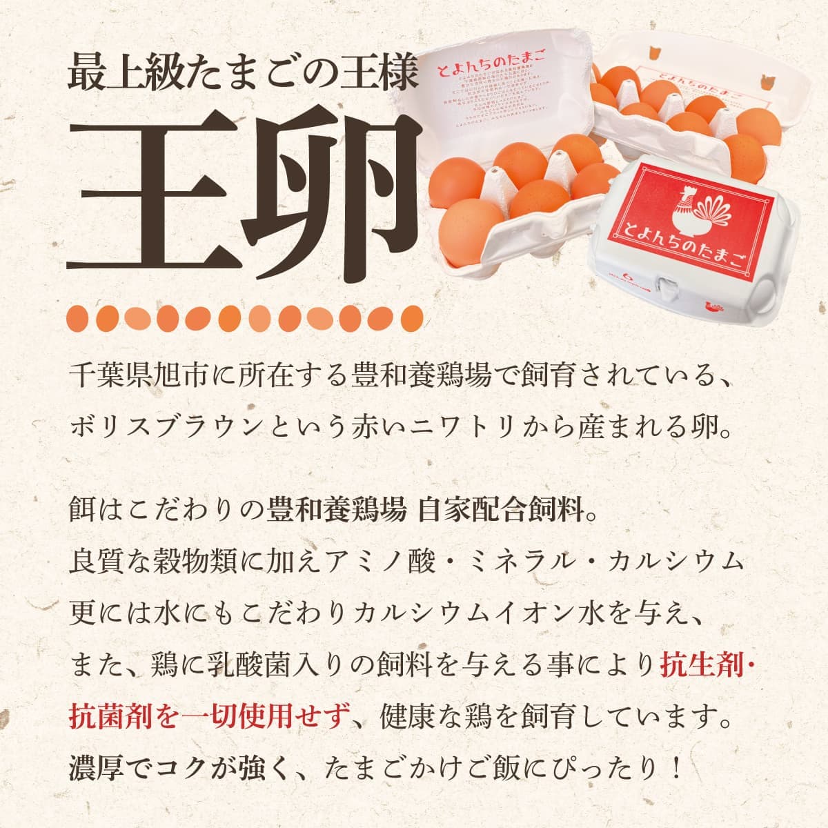 �������Ȥ���θ���ǽ��٤���������ڥ��å� *10����*