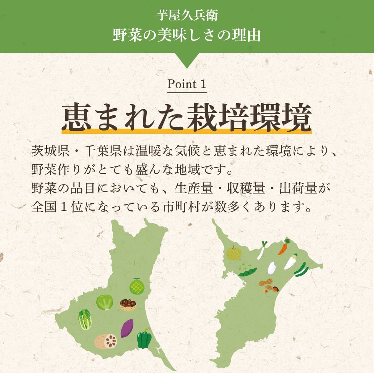 �������Ȥ���θ���ǽ��٤���������ڥ��å� *10����*