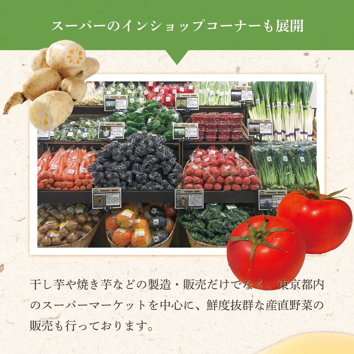 契約農家さんの軒先で集荷した新鮮野菜セット *10品目* | 野菜 | 芋屋