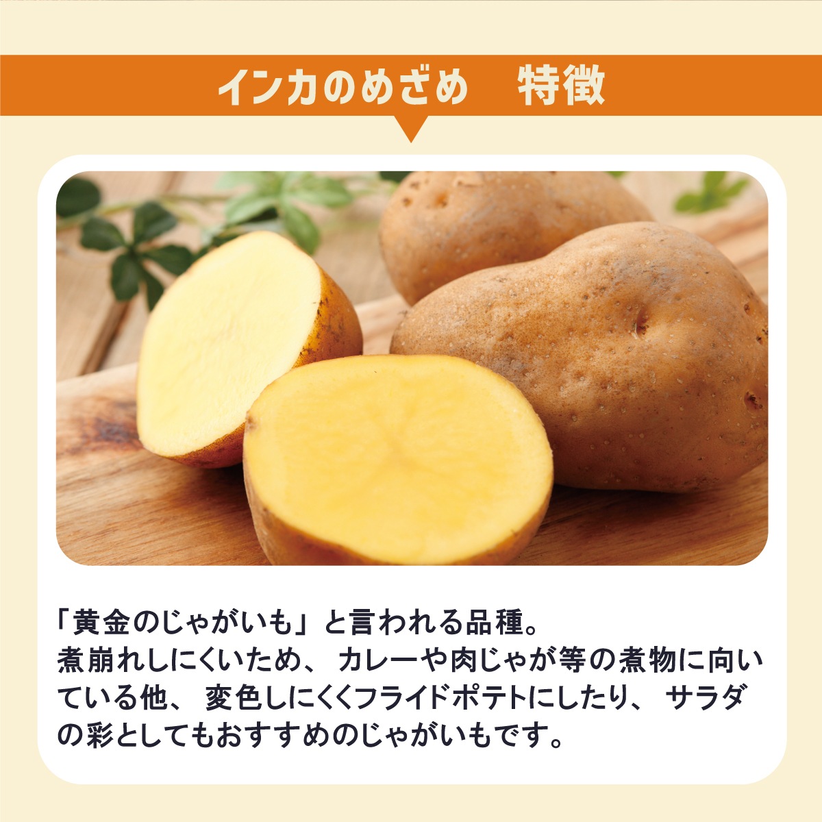 븩 㤬 󥫤Τᤶ LM 10kgھﲹ