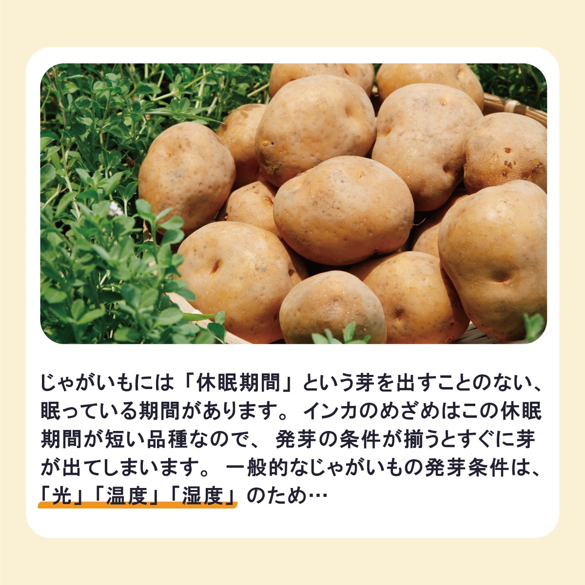 븩 㤬 󥫤Τᤶ LM 10kgھﲹ