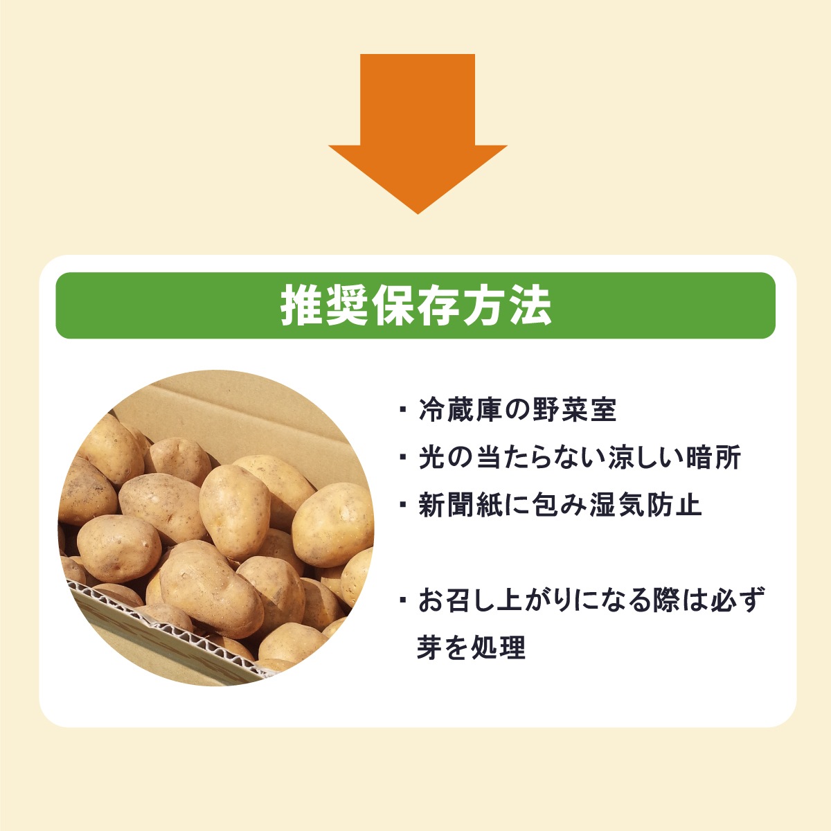 븩 㤬 󥫤Τᤶ LM 10kgھﲹ