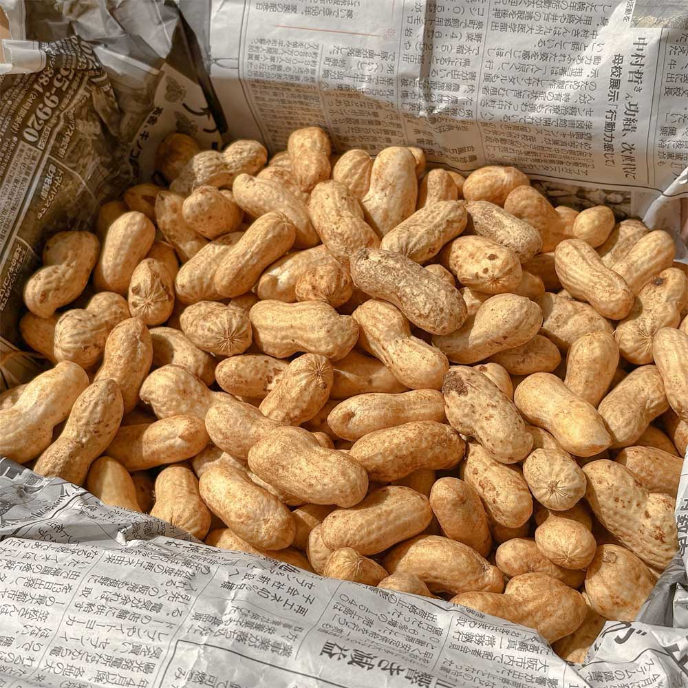 ���ա���븩�� ����� �����ޤ��� 1kg