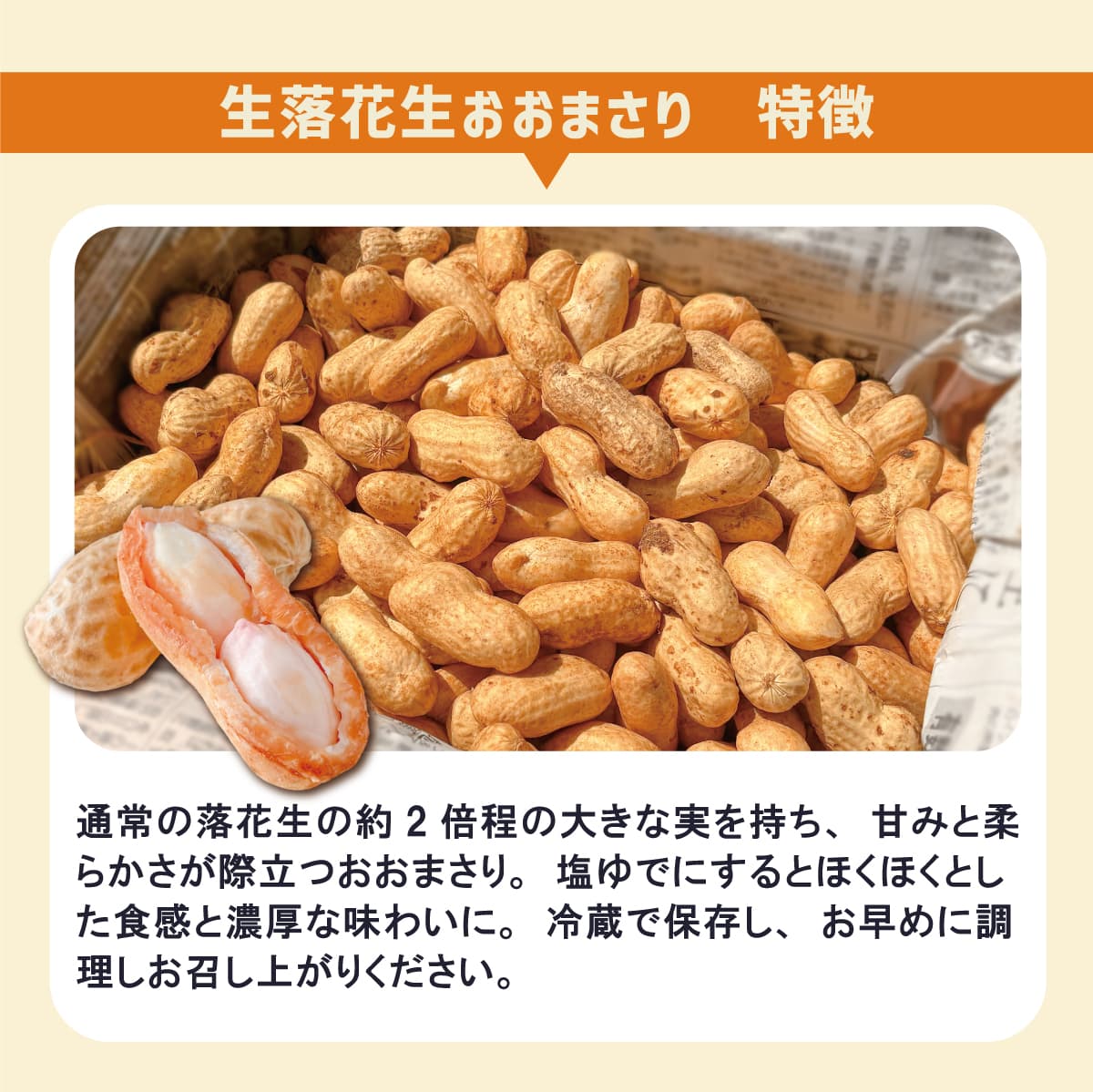 おおまさりネオ苗40株
