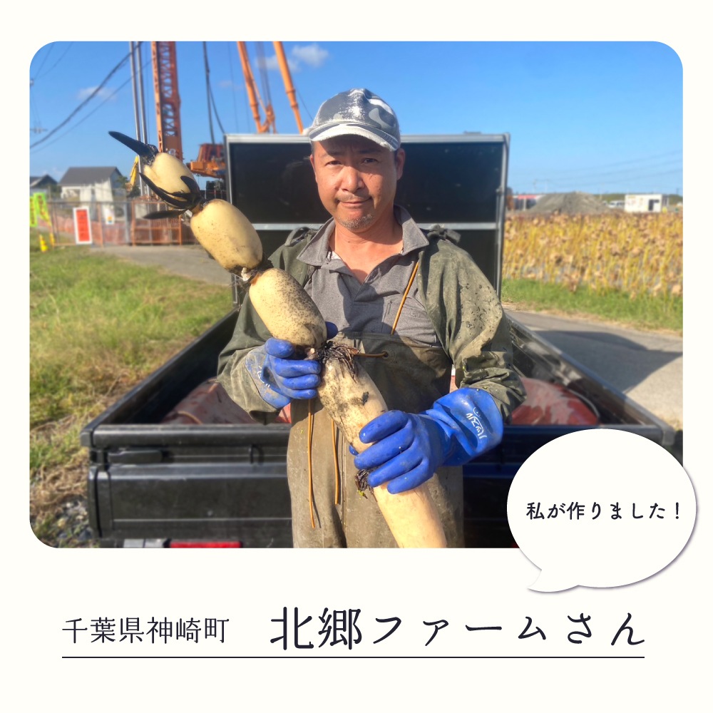 ��븩�����ո�������󥳥󡡿����ѥå�(��250g)