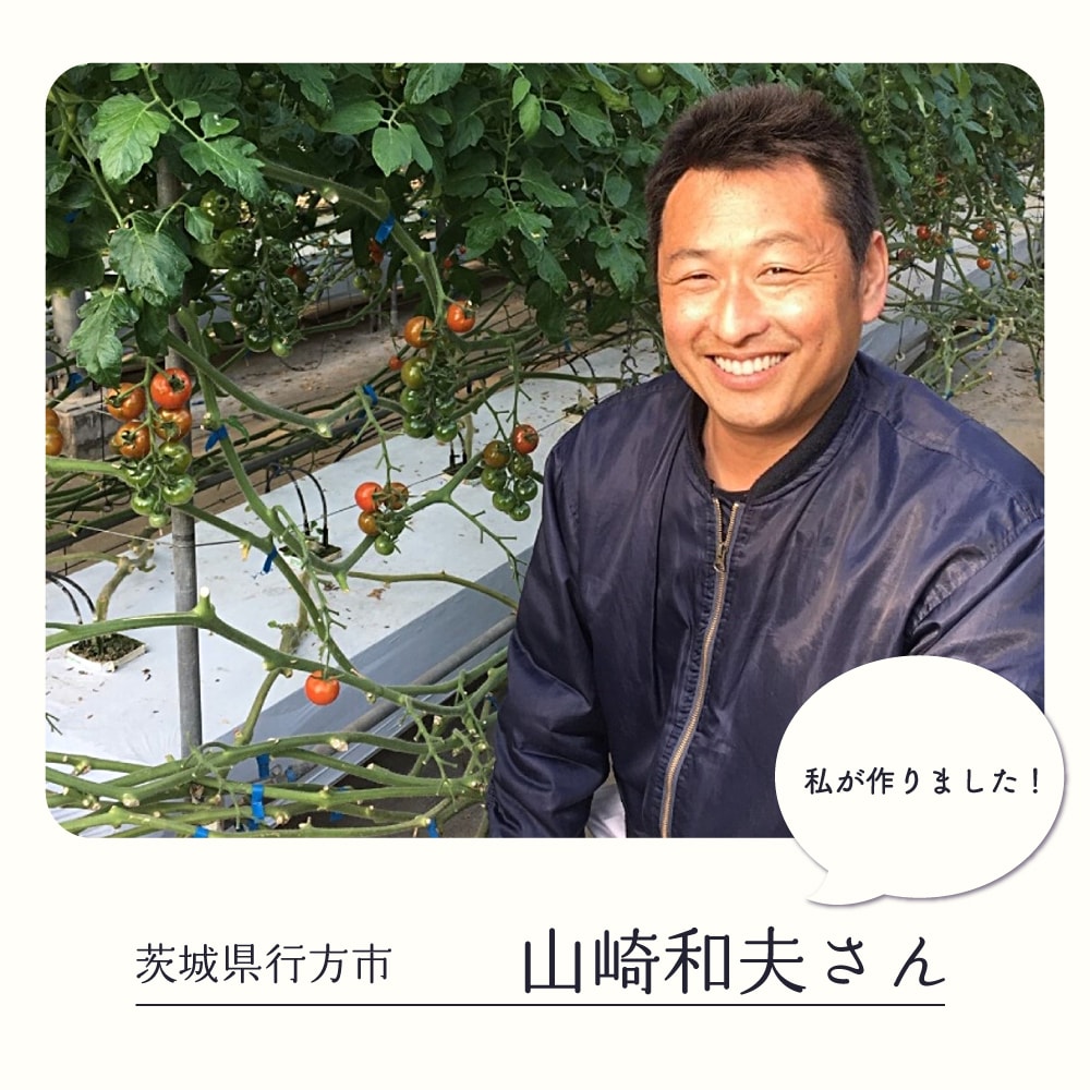 ��븩�����ߥǥ��ȥޥȡ�1��(��250g)��