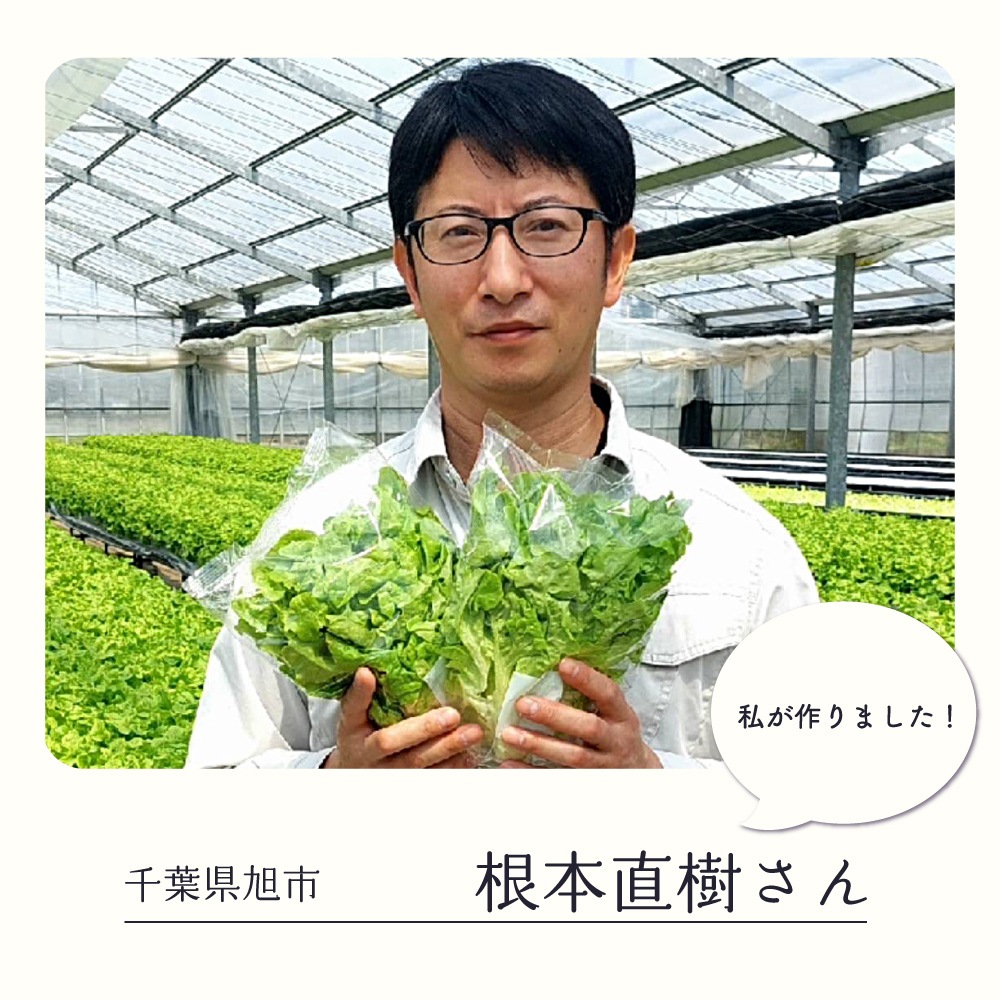 ���ո������Х��ӥ��쥿��