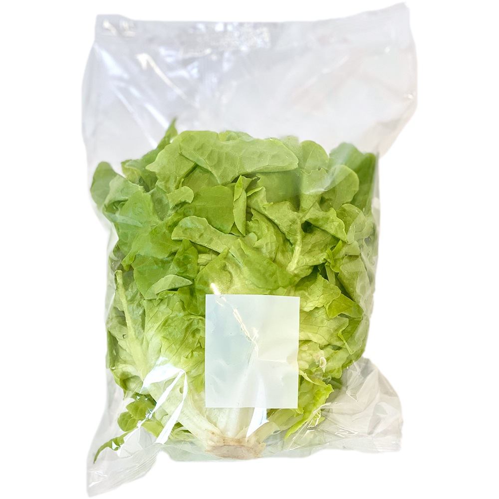 ���ո������Х��ӥ��쥿��